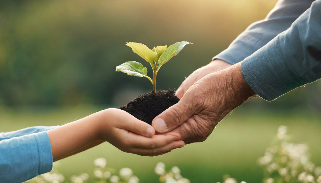A child and an older adult both hold up soil with a sprouting plant.